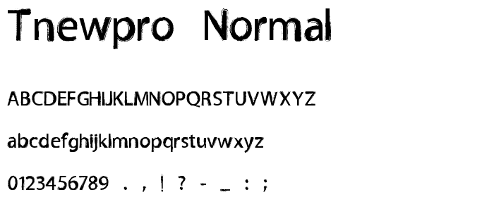 TNEWPRO Normal font